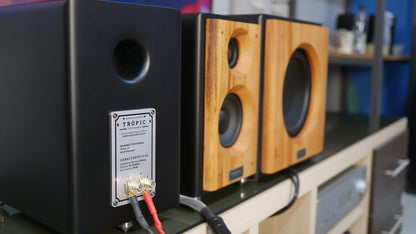 Sistema 2.1 Bookshelf TA-50 Studio+Subwoofer 8"