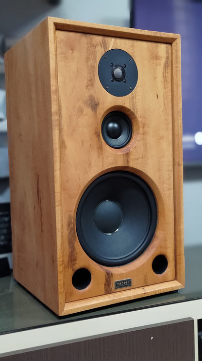 Speaker Hi-End TA-310 Beyma (PAR)