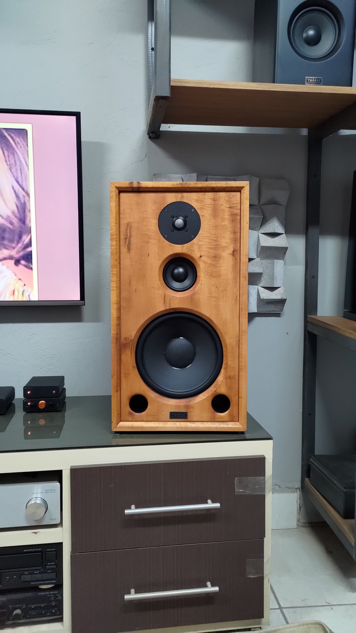 Speaker Hi-End TA-310 Beyma (PAR)