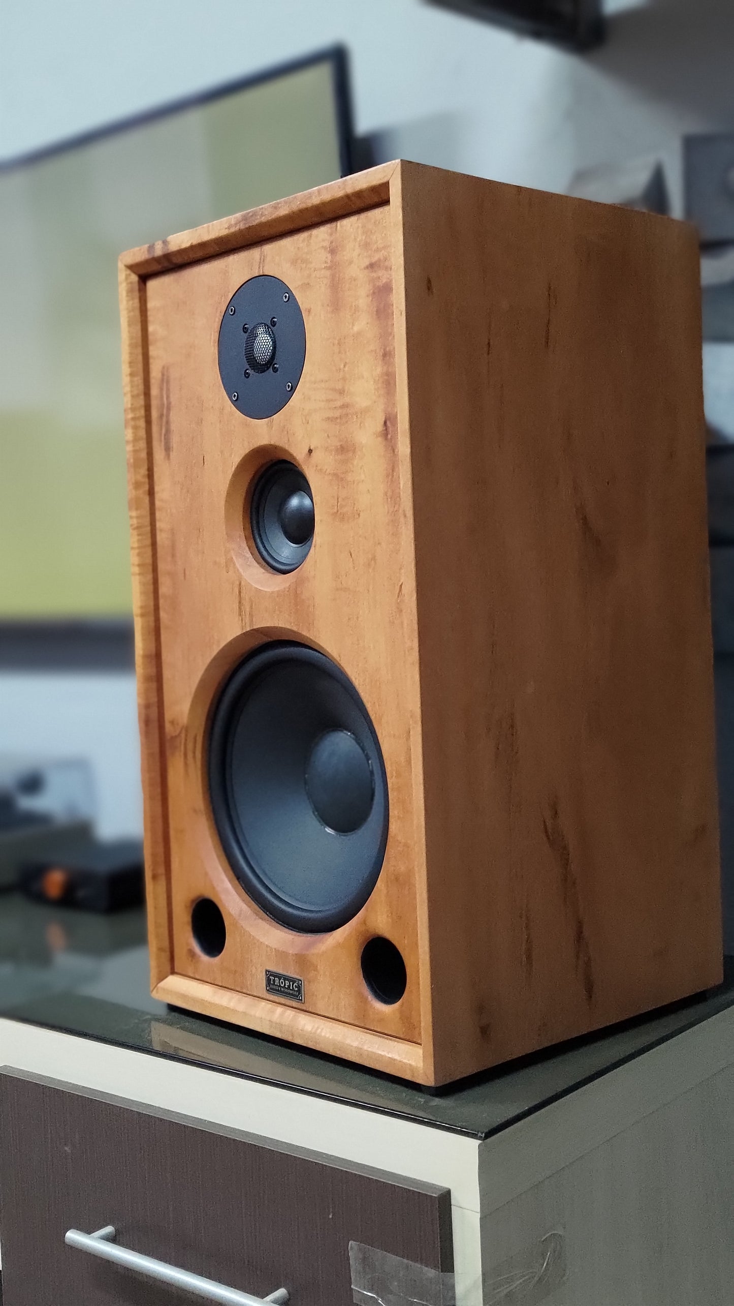 Speaker Hi-End TA-310 Beyma (PAR)