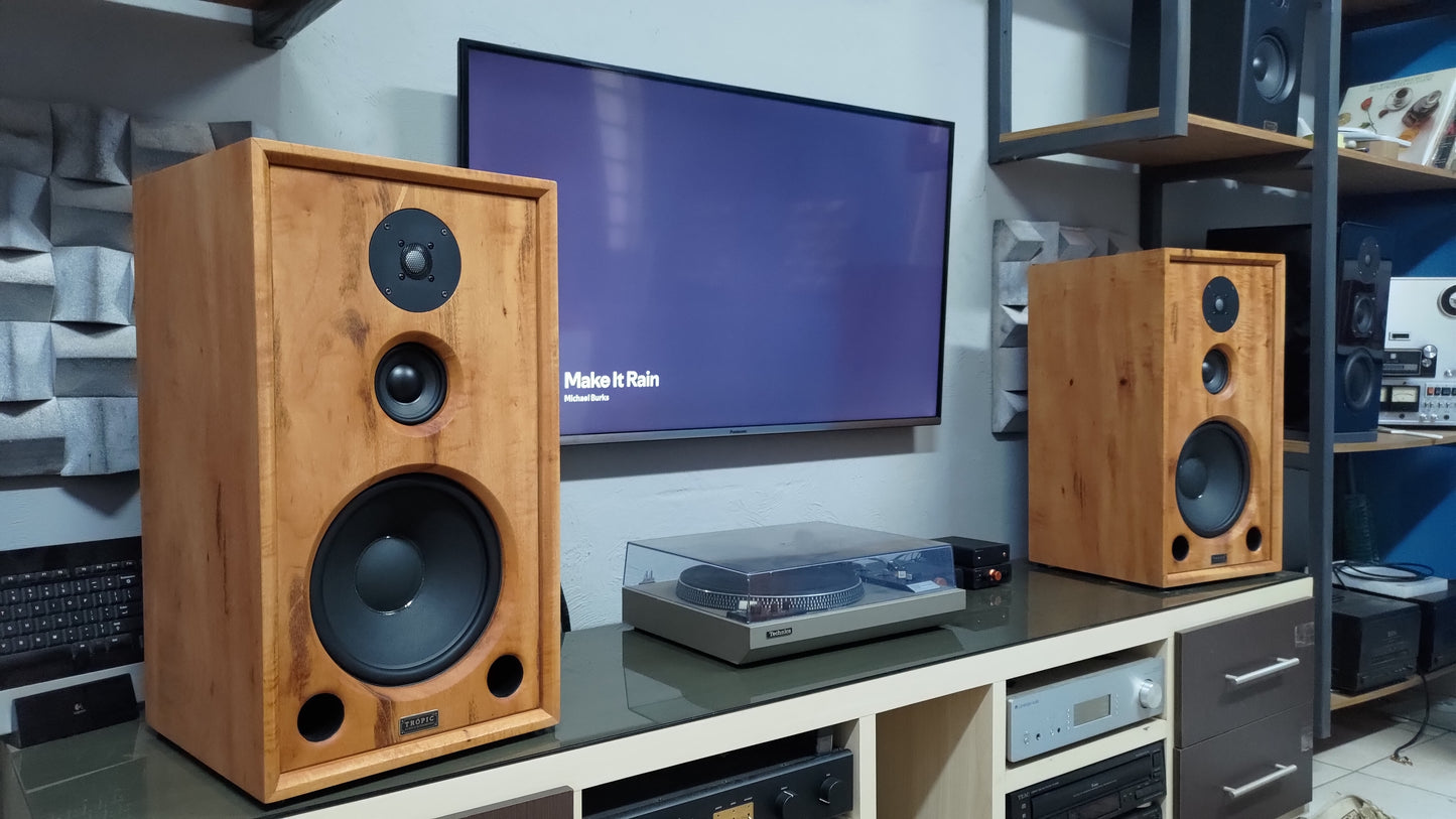 Speaker Hi-End TA-310 Beyma (PAR)