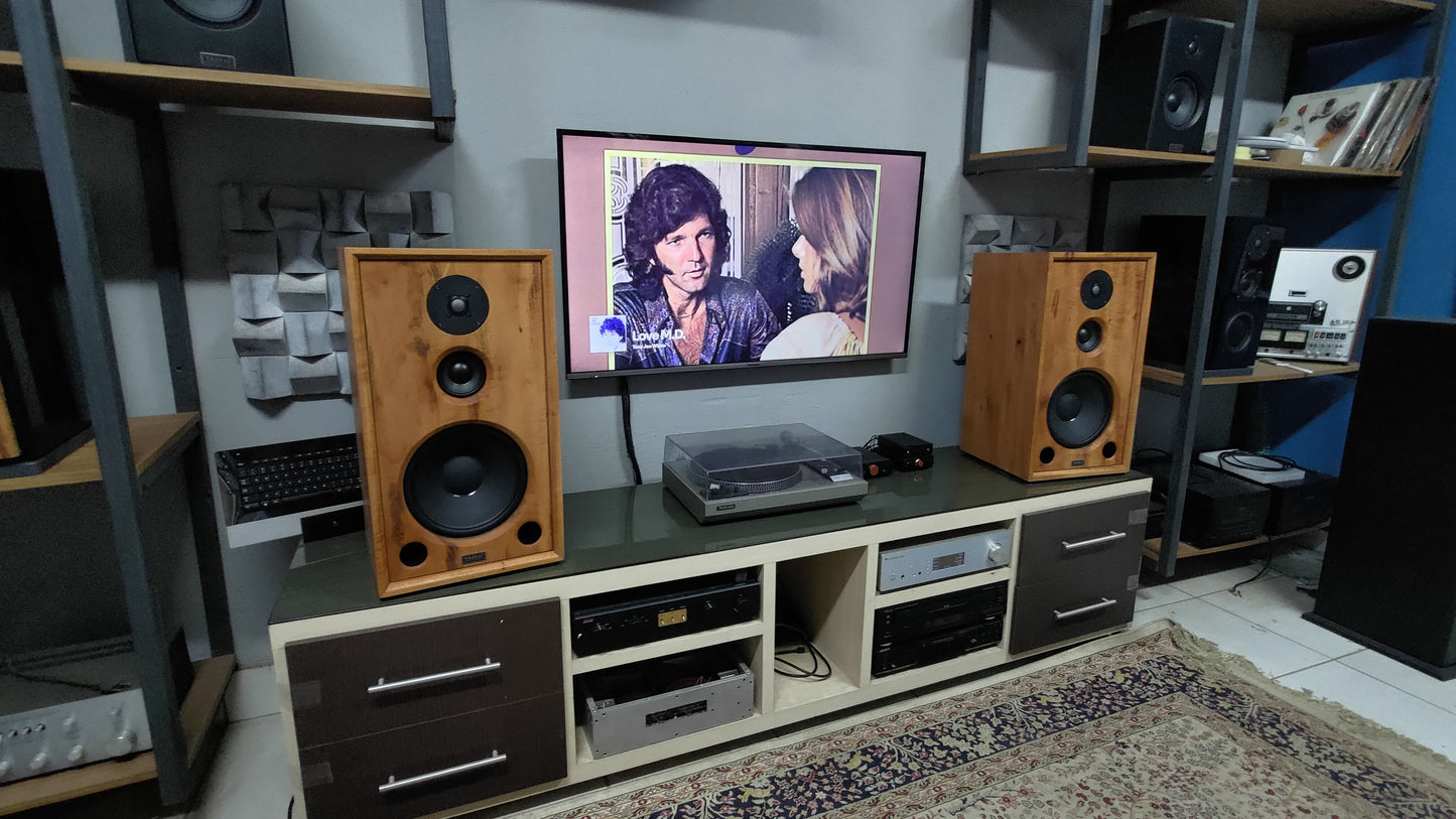 Speaker Hi-End TA-310 Beyma (PAR)