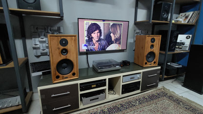 Speaker Hi-End TA-310 Beyma (PAR)
