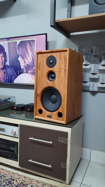 Speaker Hi-End TA-310 Beyma (PAR)