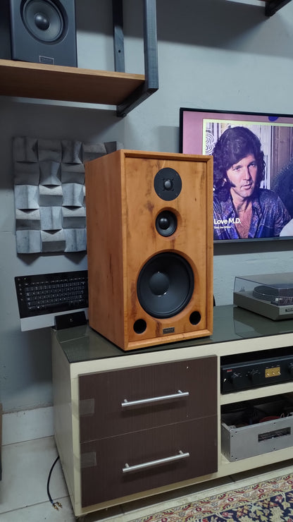 Speaker Hi-End TA-310 Beyma (PAR)