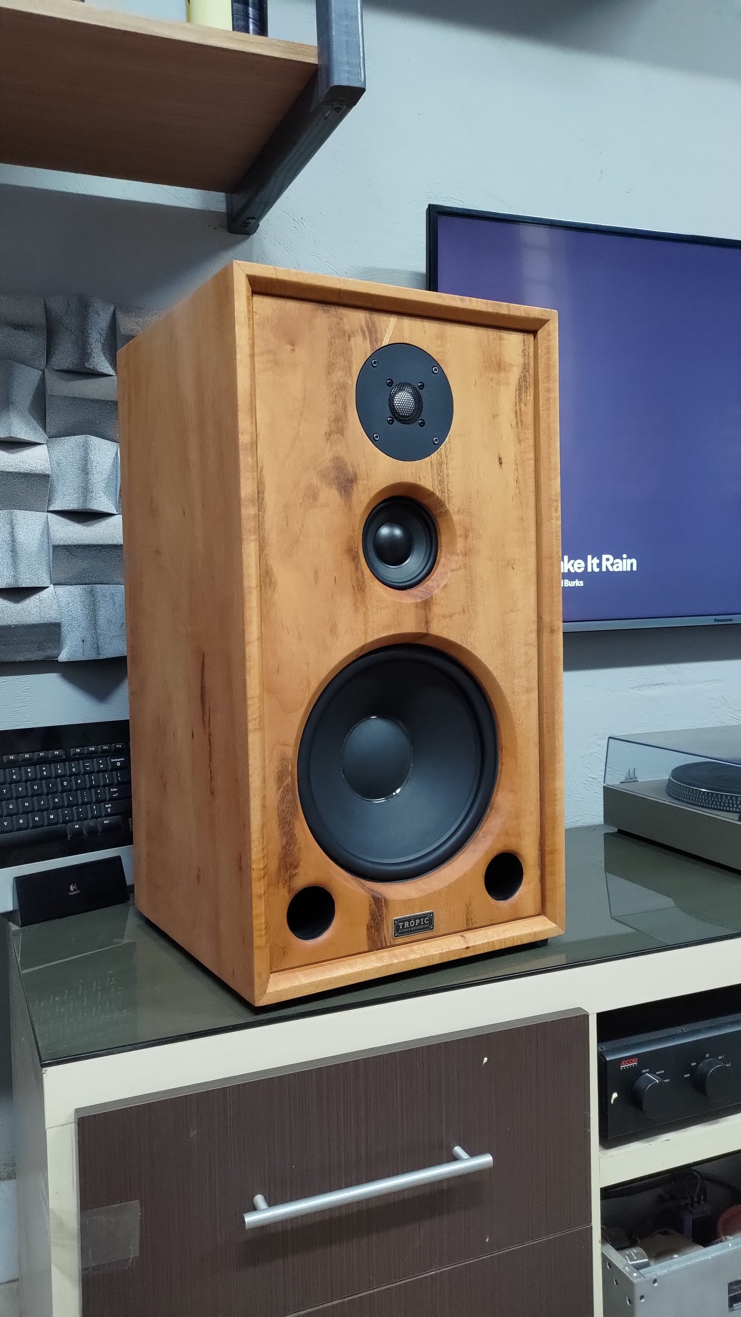 Speaker Hi-End TA-310 Beyma (PAR)