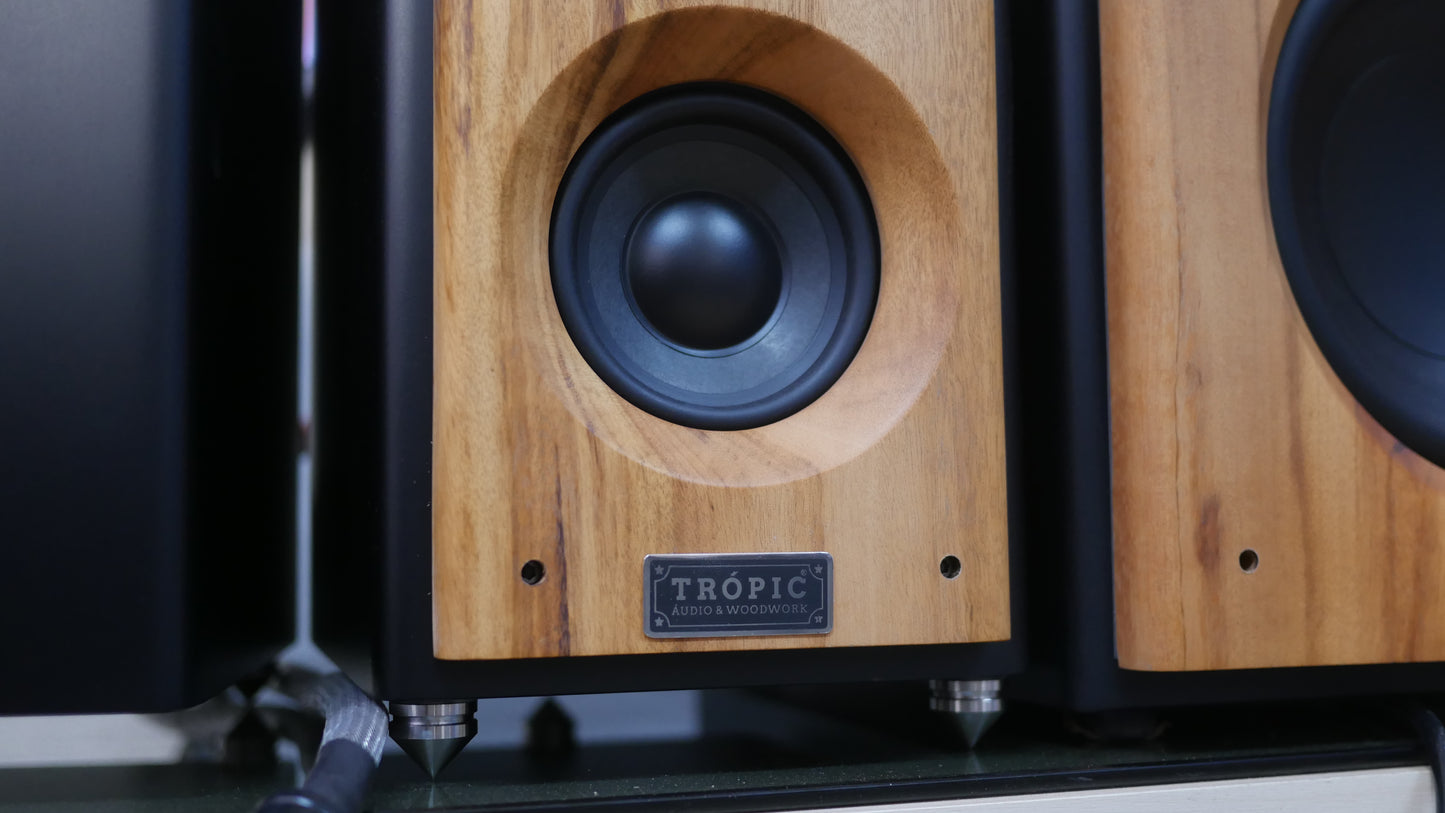 Sistema 2.1 Bookshelf TA-50 Studio+Subwoofer 8"