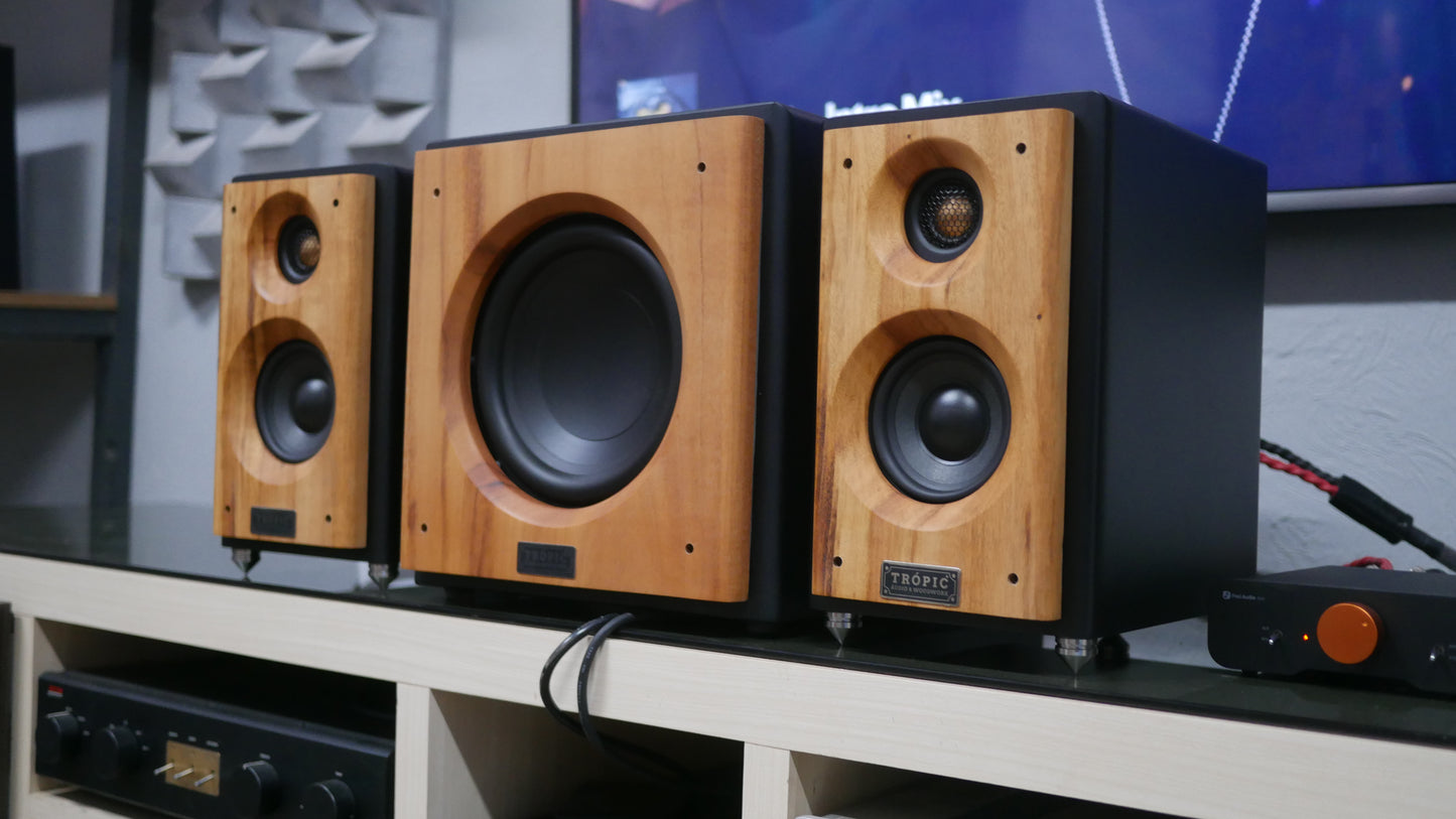 Sistema 2.1 Bookshelf TA-50 Studio+Subwoofer 8"