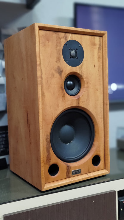 Speaker Hi-End TA-310 Beyma (PAR)