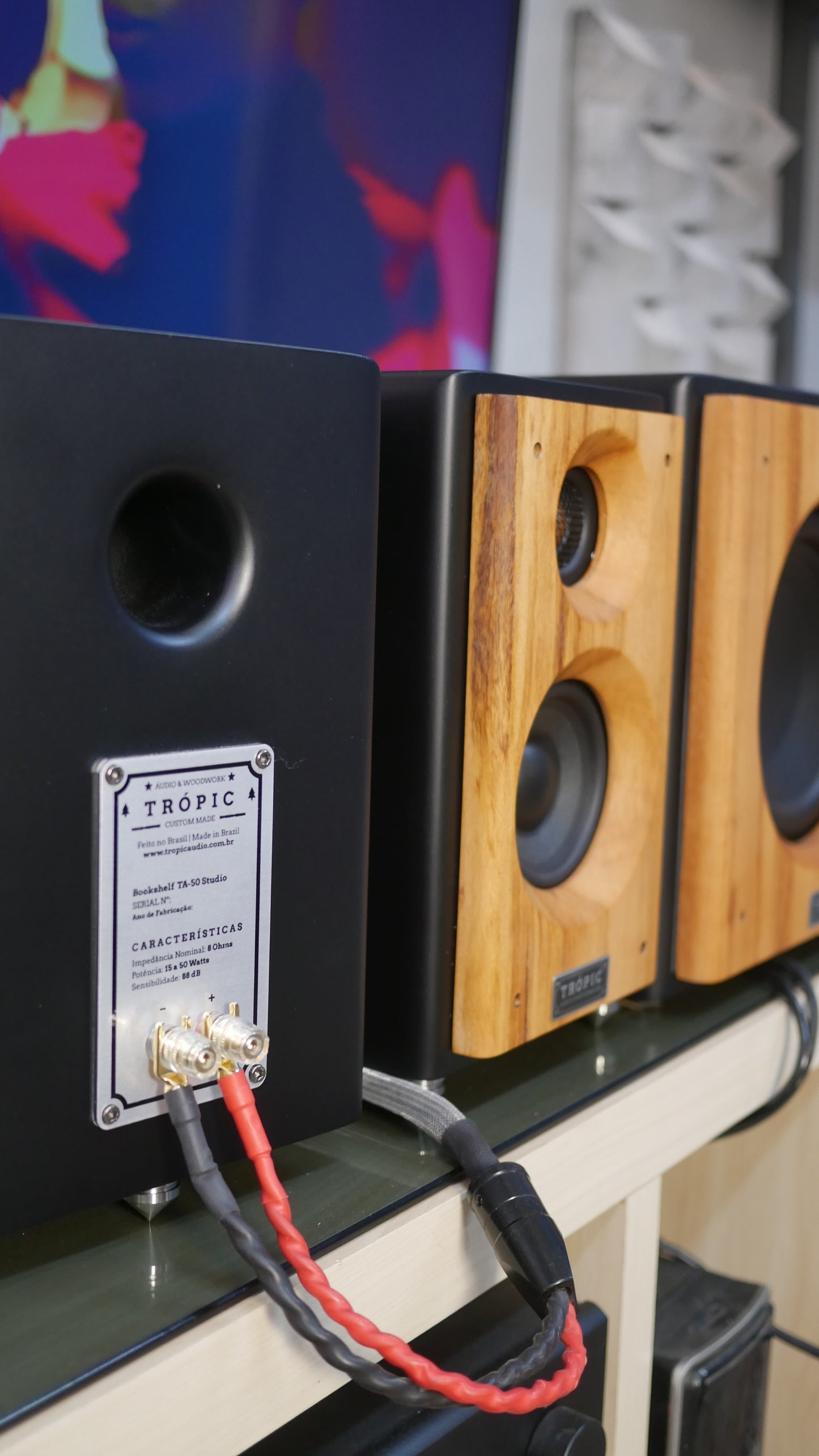 Sistema 2.1 Bookshelf TA-50 Studio+Subwoofer 8"