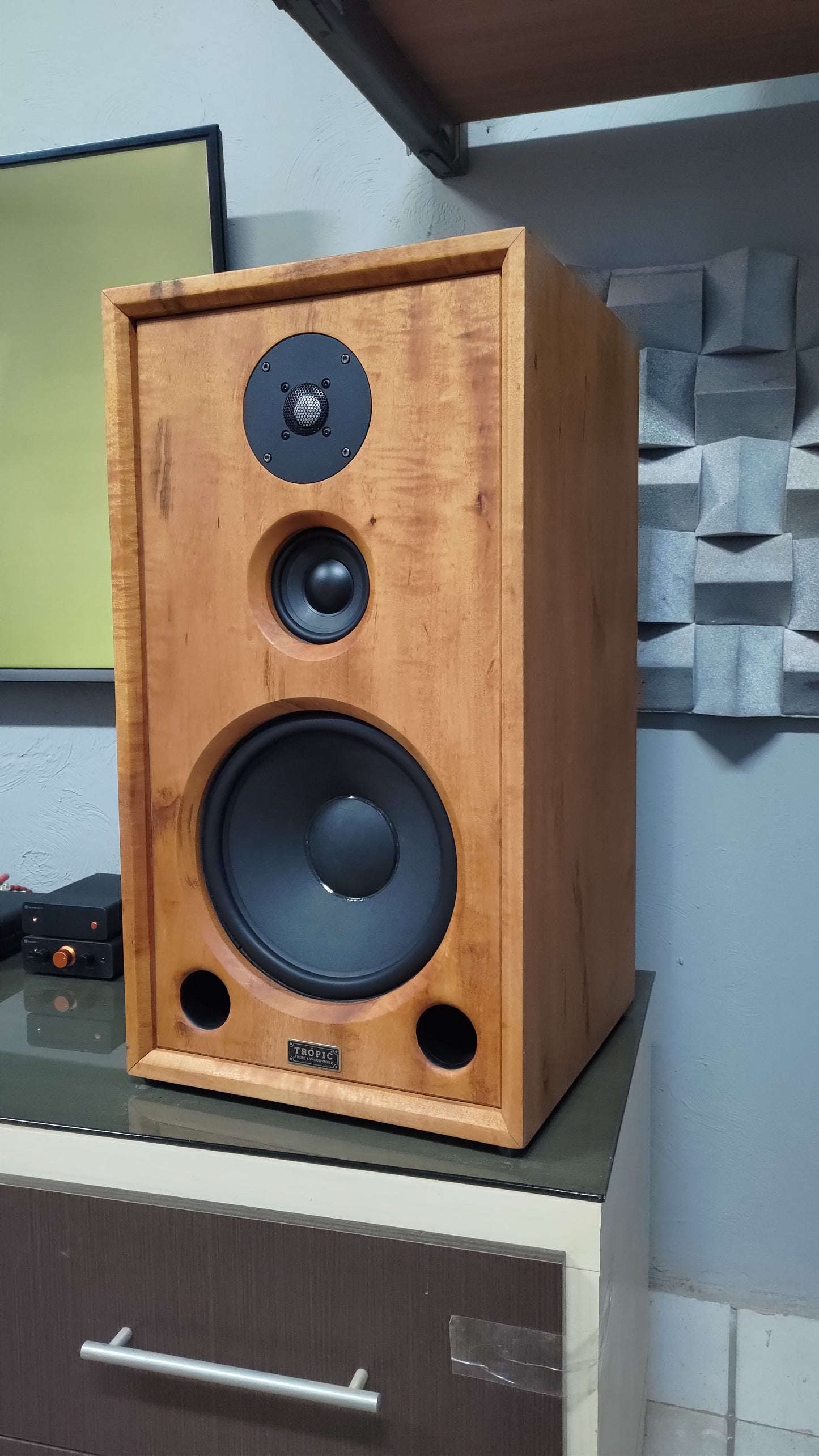 Speaker Hi-End TA-310 Beyma (PAR)