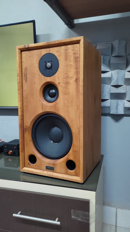 Speaker Hi-End TA-310 Beyma (PAR)