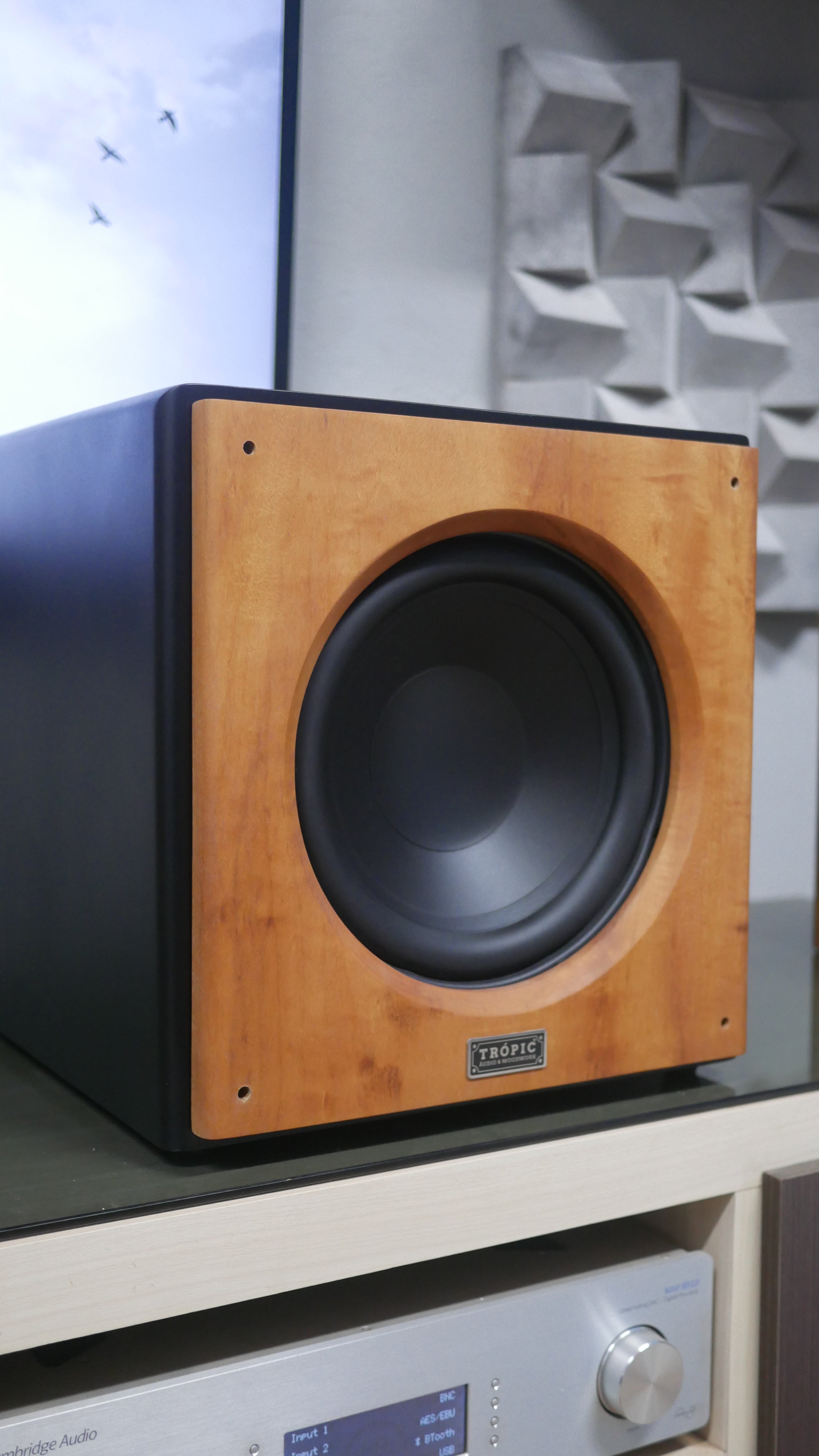 Subwoofer TA-SUB 10" Ativo image 3