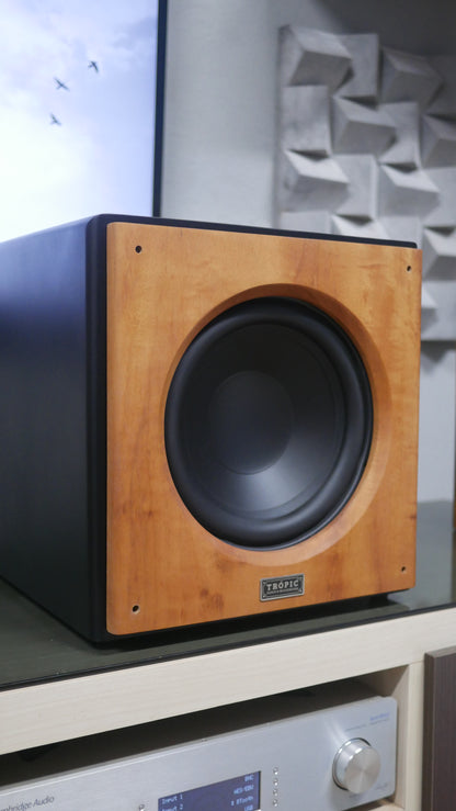 Subwoofer TA-SUB 10" Ativo image 3