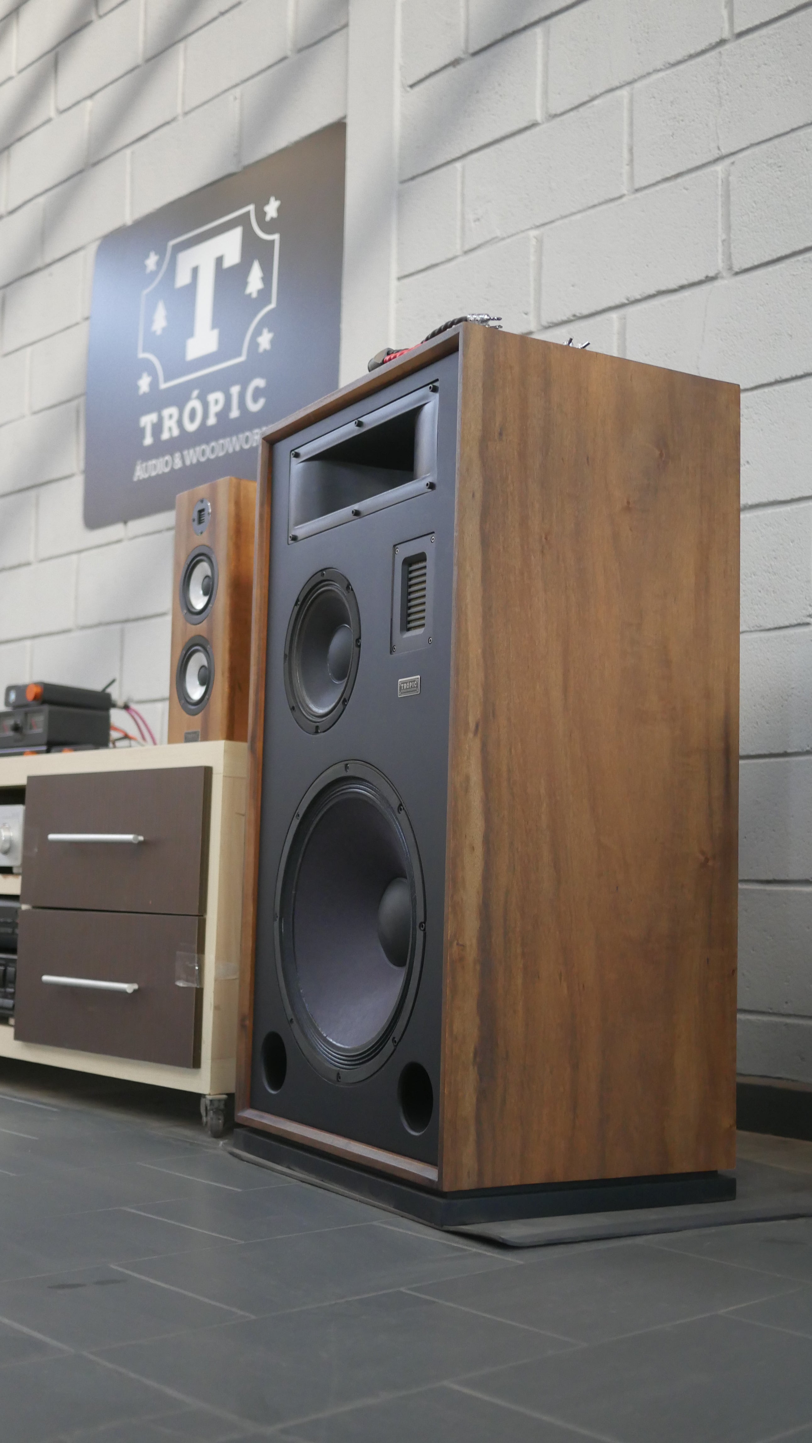 Speaker Hi-End TA-415 4 Vias - Beyma image 5