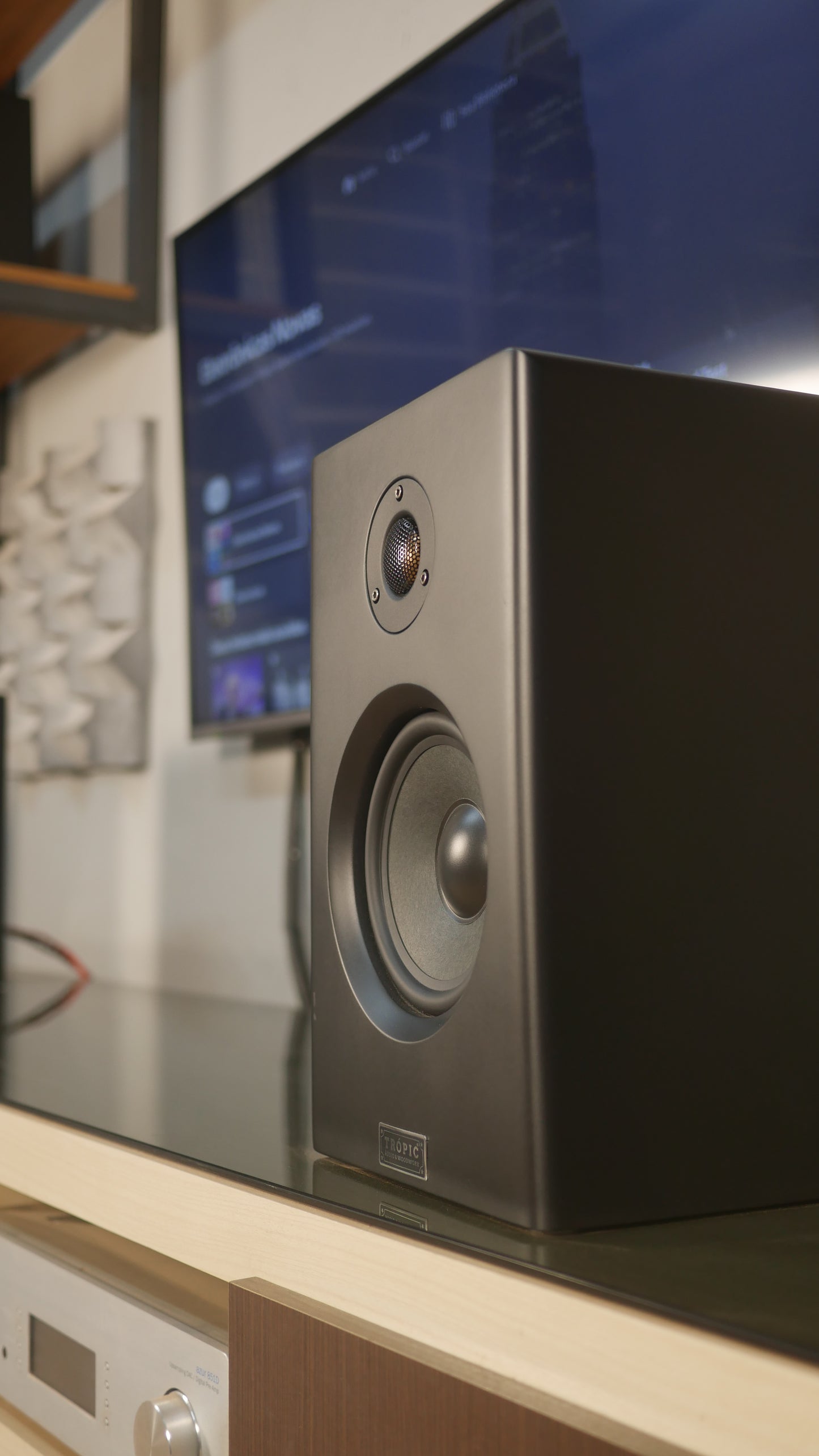 Bookshelf TA-120 Studio In Colors - Hi-Fi (PAR)