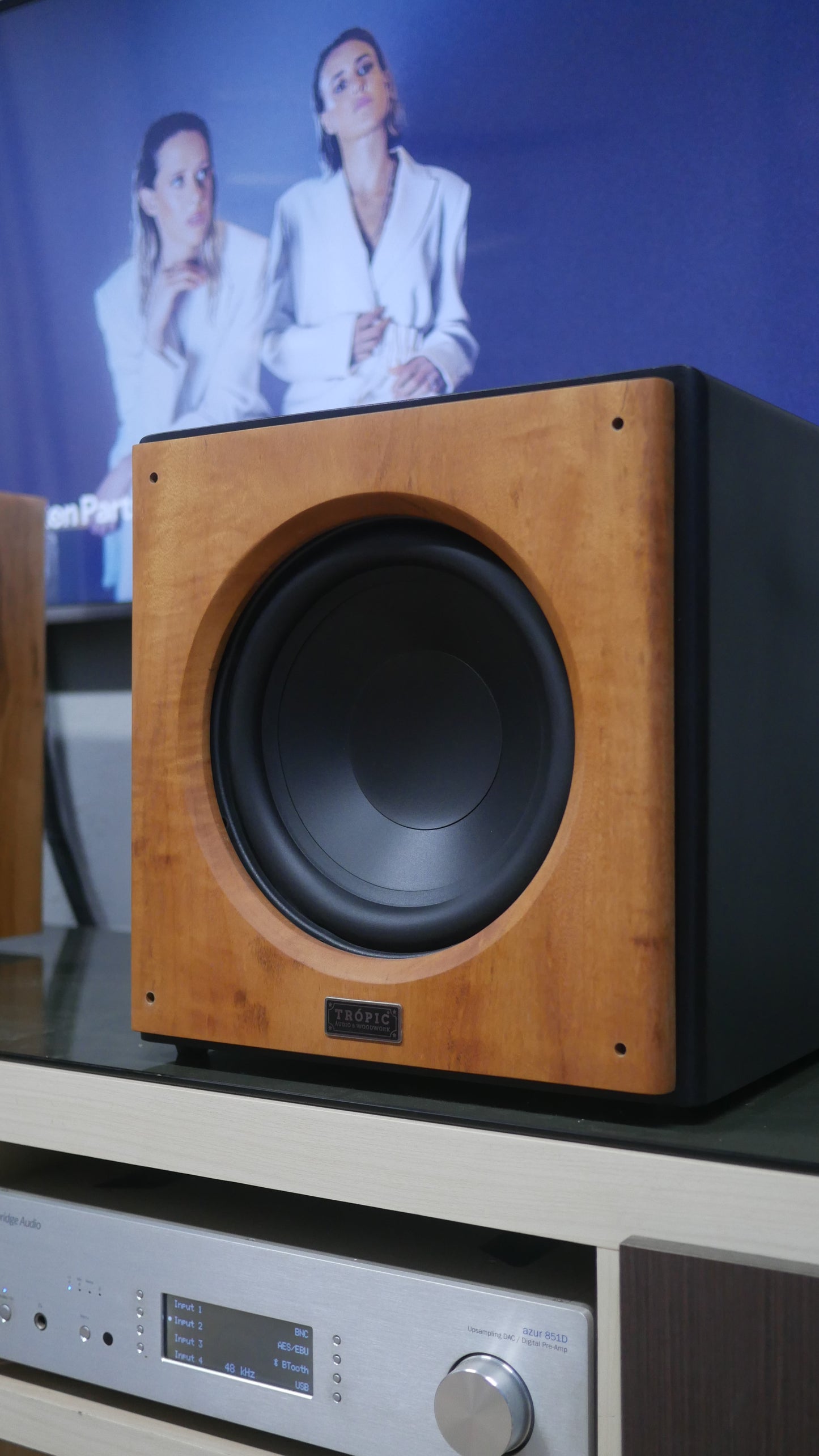 Subwoofer TA-SUB 10" Ativo