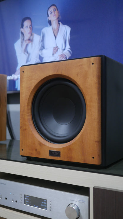 Subwoofer TA-SUB 10" Ativo