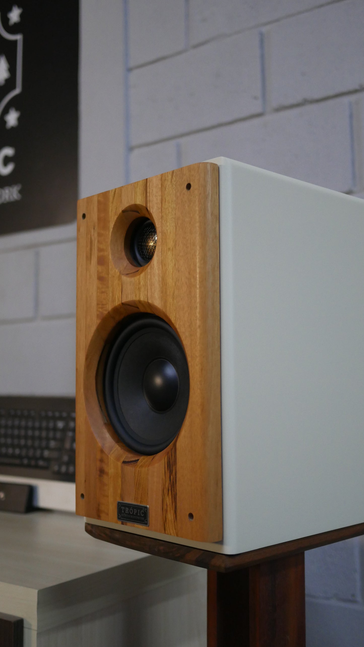 Bookshelf TA-120 Studio In Colors - Hi-Fi (PAR)