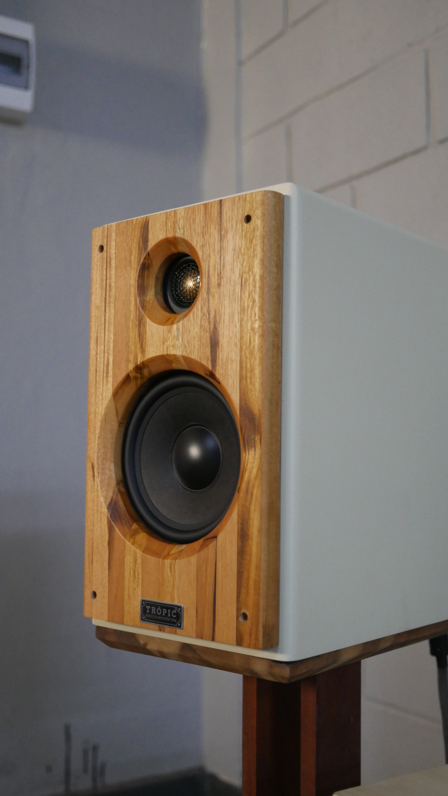 Bookshelf TA-120 Studio In Colors - Hi-Fi (PAR)