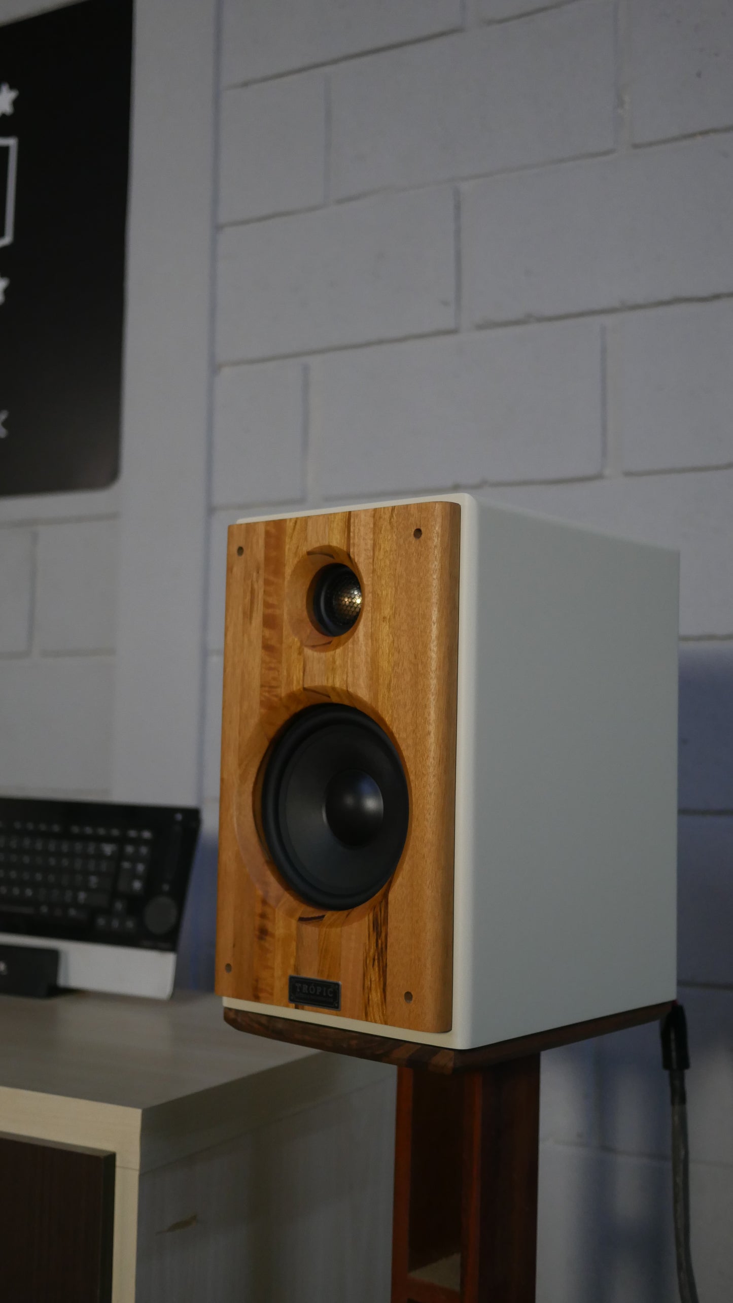Bookshelf TA-120 Studio In Colors - Hi-Fi (PAR)