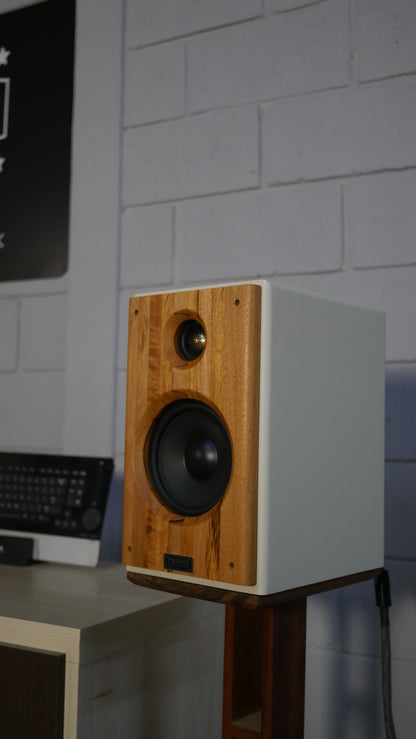 Bookshelf TA-120 Studio In Colors - Hi-Fi (PAR)