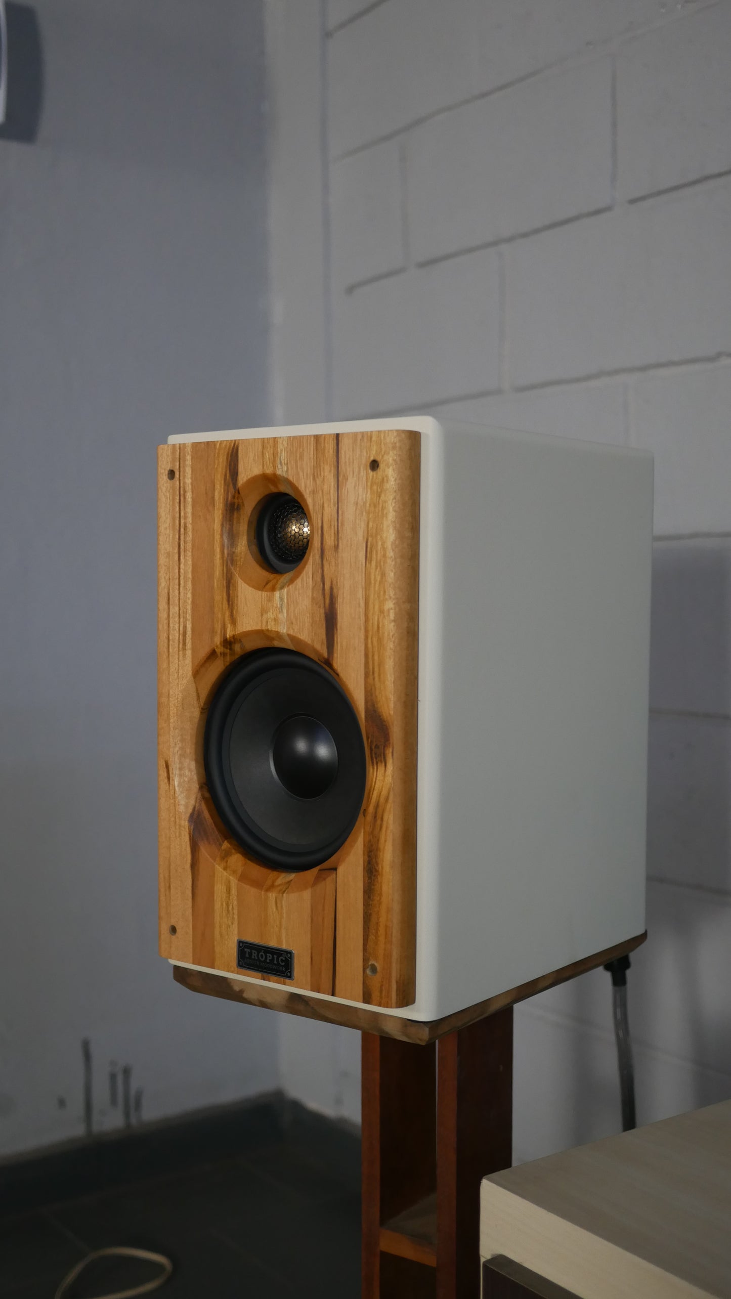 Bookshelf TA-120 Studio In Colors - Hi-Fi (PAR)