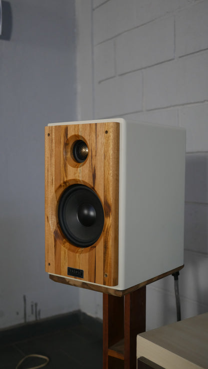 Bookshelf TA-120 Studio In Colors - Hi-Fi (PAR)