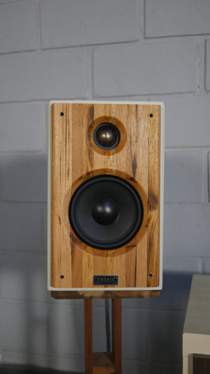 Bookshelf TA-120 Studio In Colors - Hi-Fi (PAR)
