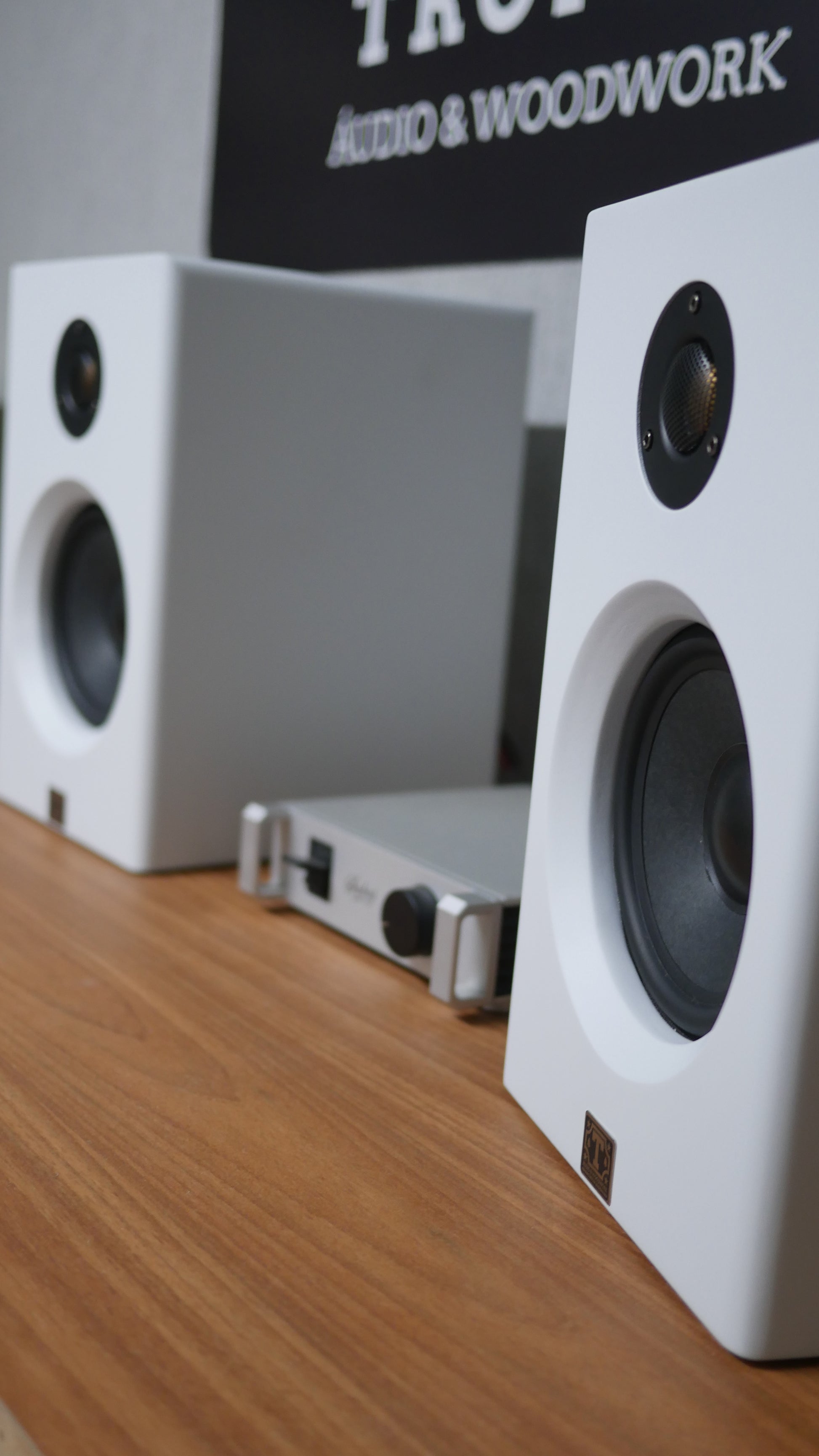 Bookshelf TA-120 Studio In Colors - Hi-Fi (PAR) image 7