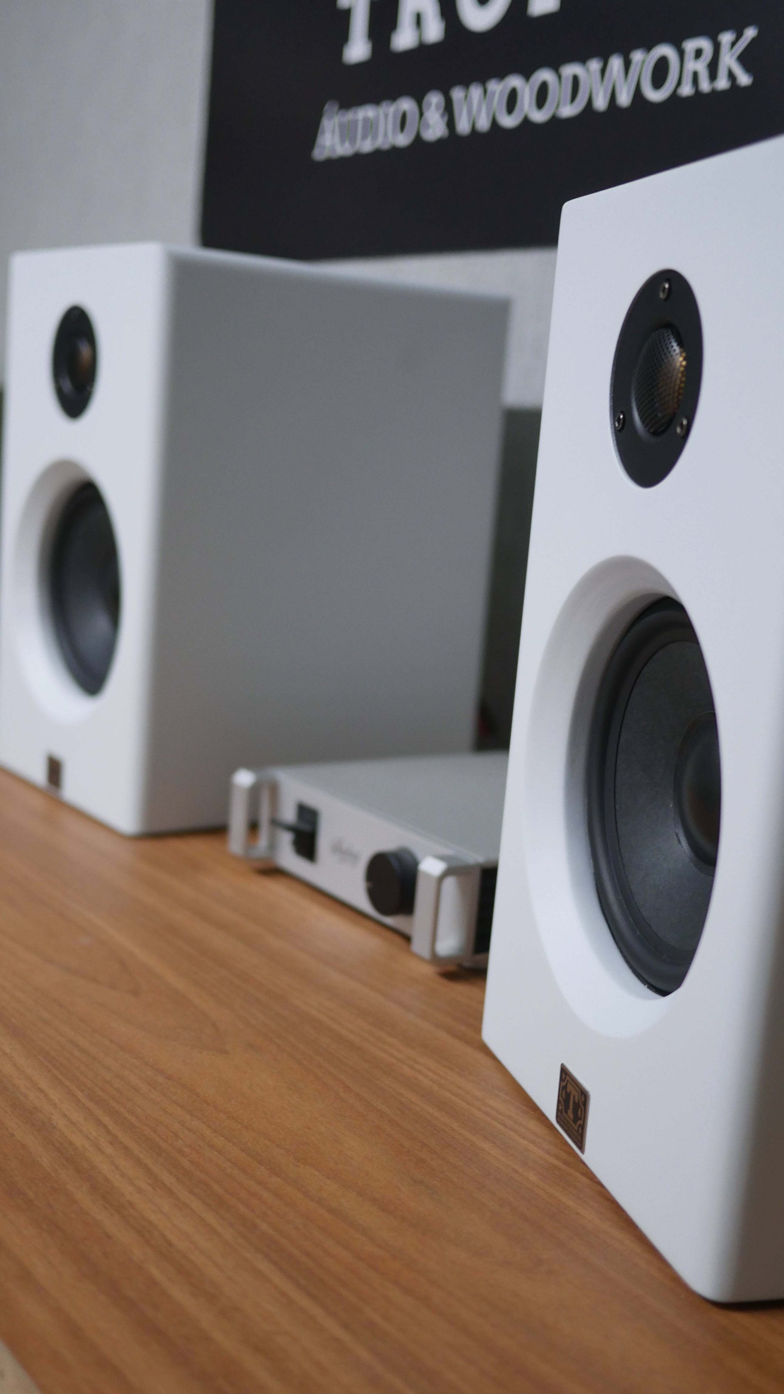 Bookshelf TA-120 Studio In Colors - Hi-Fi (PAR) image 7