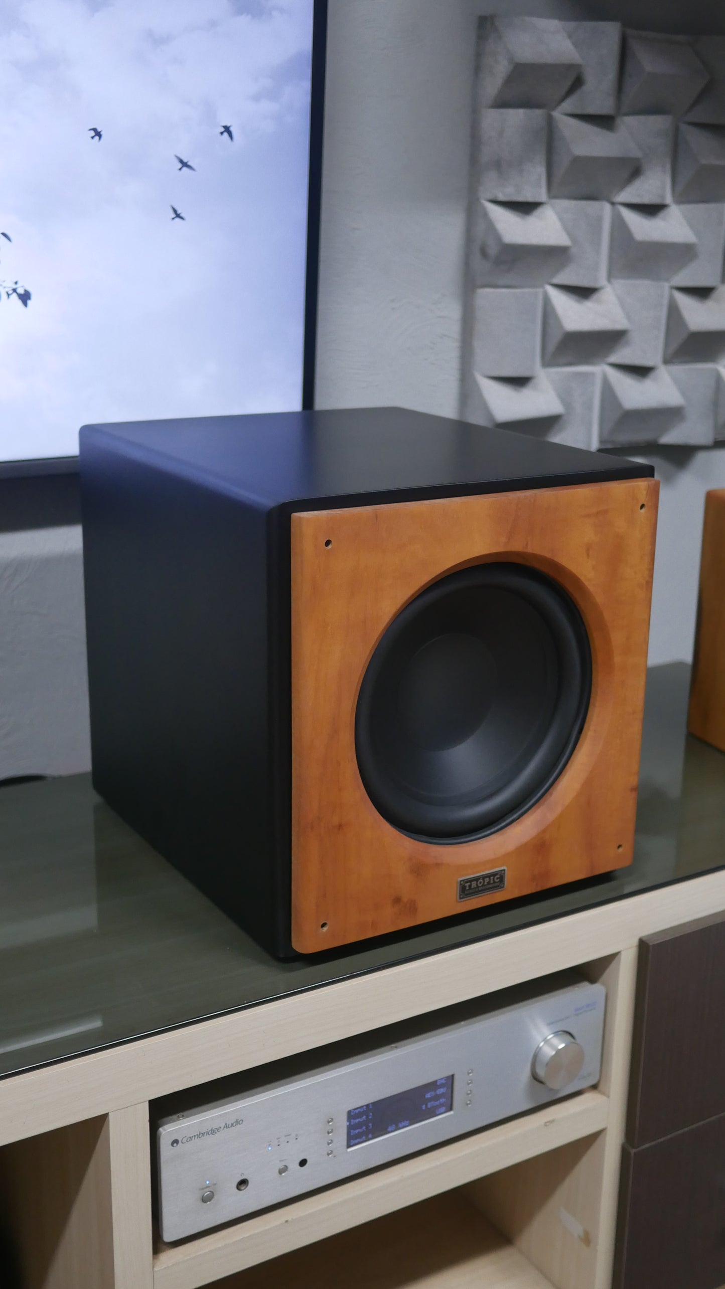 Subwoofer TA-SUB 10" Ativo image 2