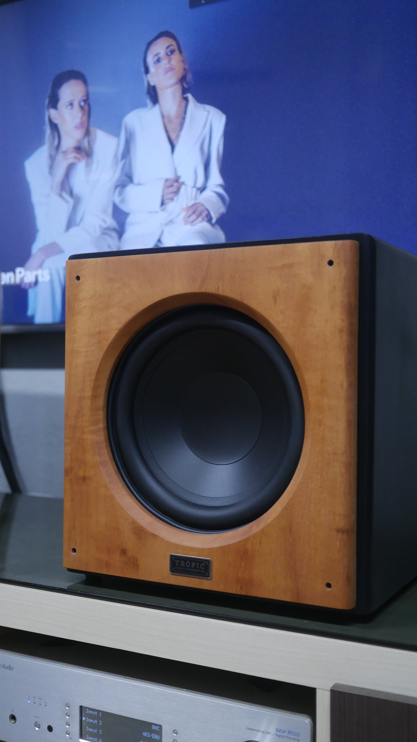 Subwoofer TA-SUB 10" Ativo image 0