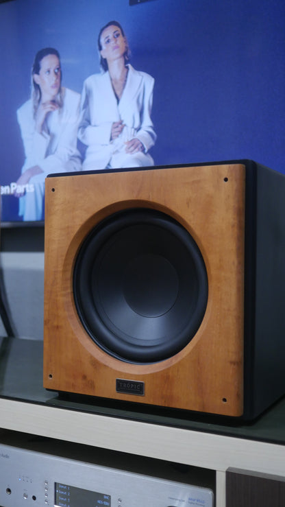 Subwoofer TA-SUB 10" Ativo image 0