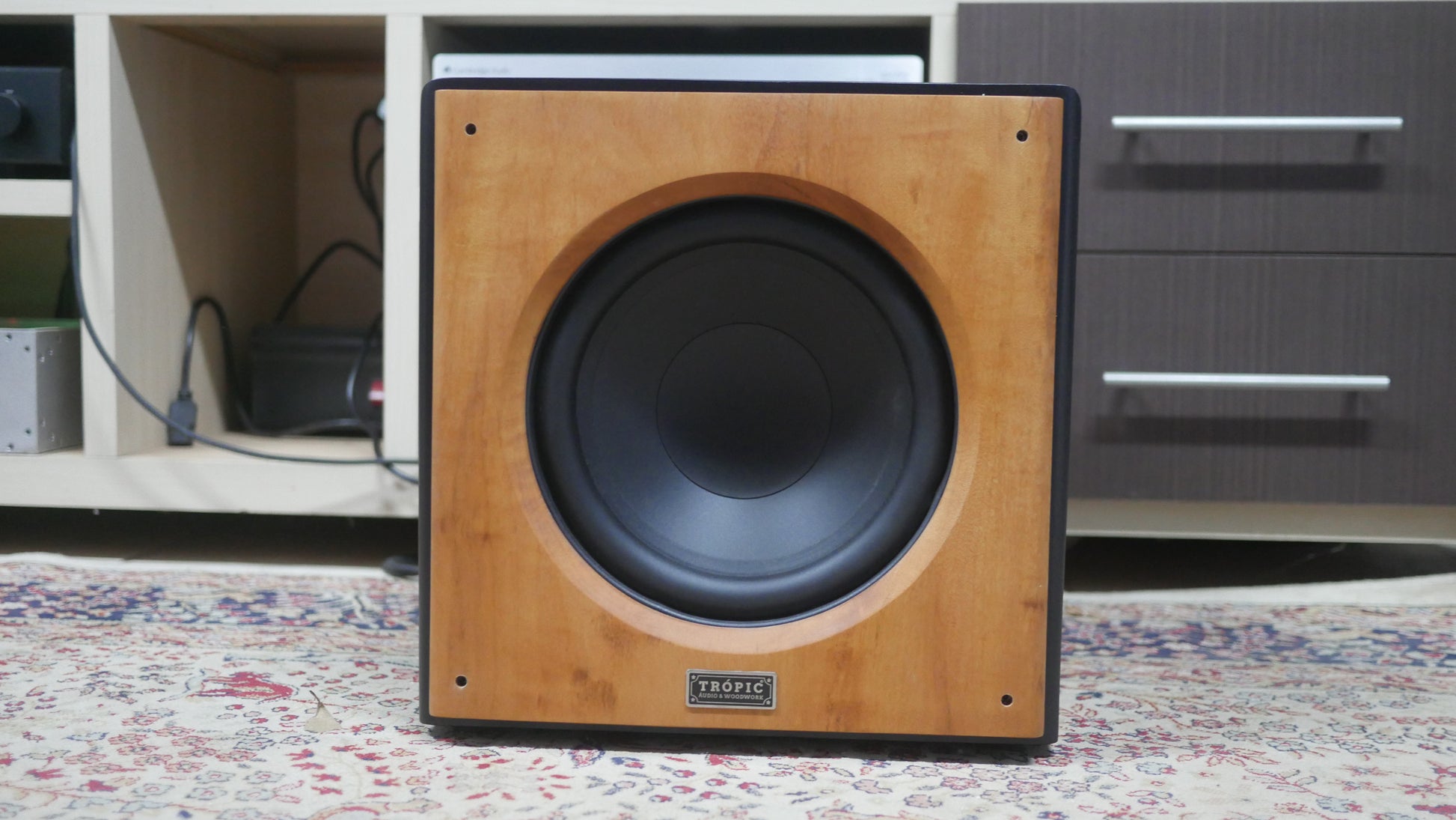 Subwoofer TA-SUB 10" Ativo image 5