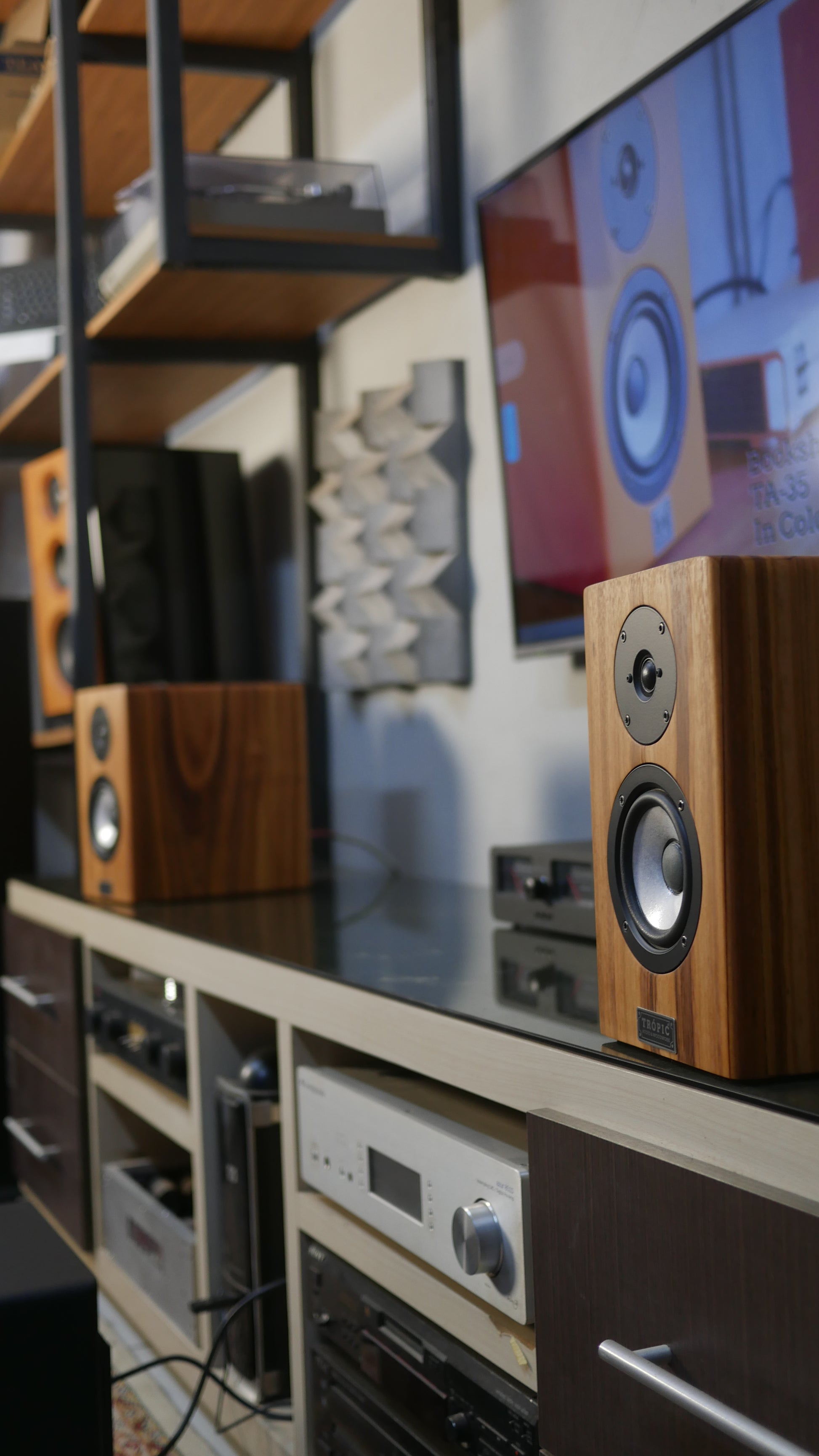 Bookshelf TA-35 Hi-Fi em Muiracatiara - Hi-Fi (PAR) image 4