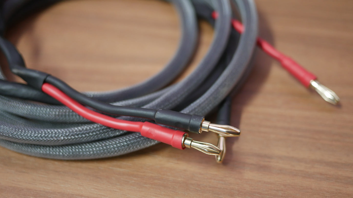 Cabo Speaker Silver (PAR) image 1