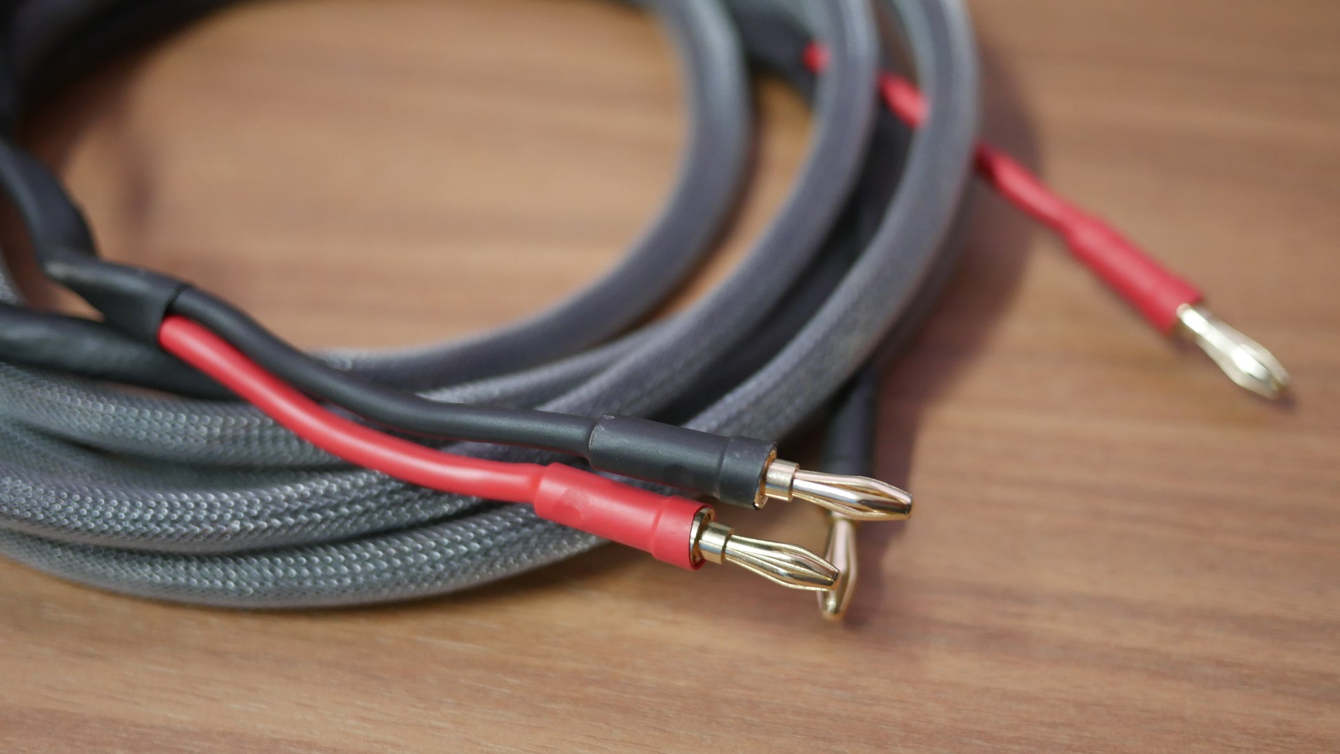 Cabo Speaker Silver (PAR) image 1