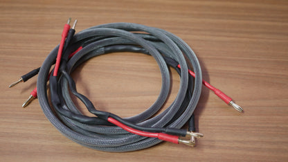 Cabo Speaker Silver (PAR) image 0