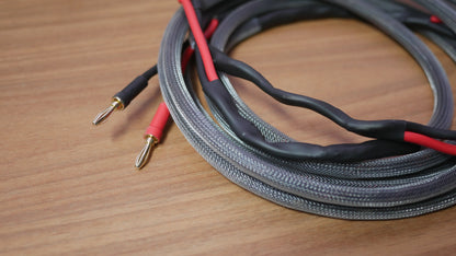 Cabo Speaker Silver (PAR) image 2