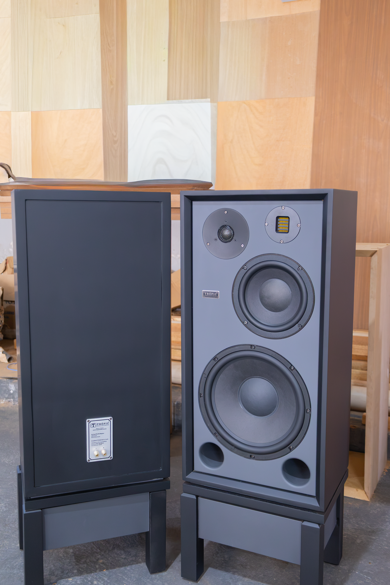 Speaker Hi-End TA-312 Beyma 4 Vias (PAR)