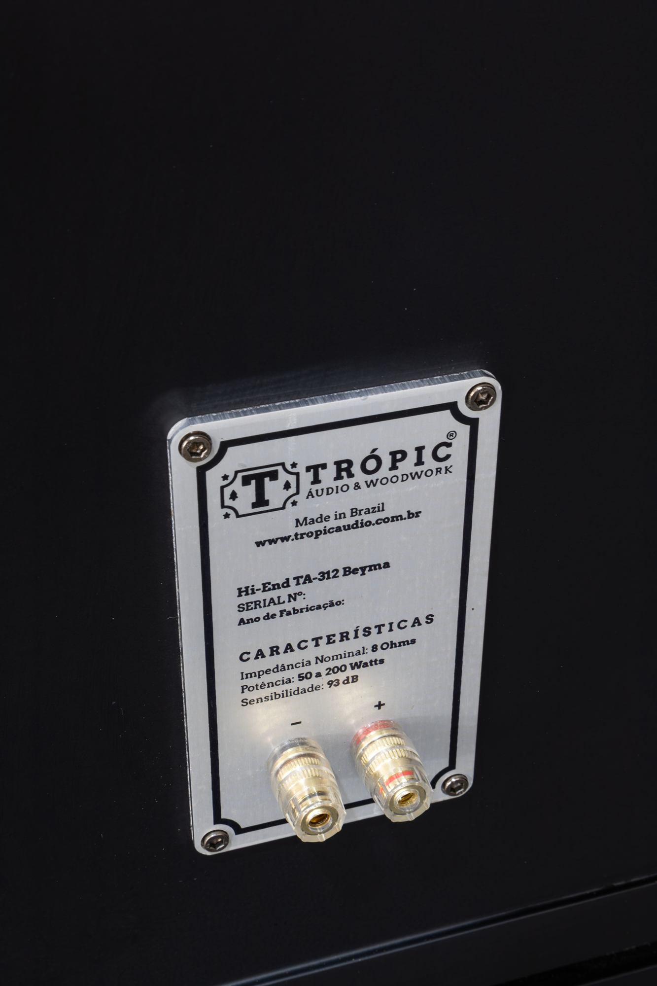 Speaker Hi-End TA-312 Beyma 4 Vias (PAR)