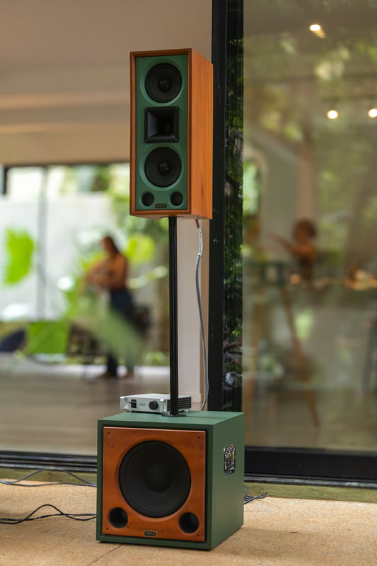 PA Hi-Fi TA-Horn 6 Kevlar