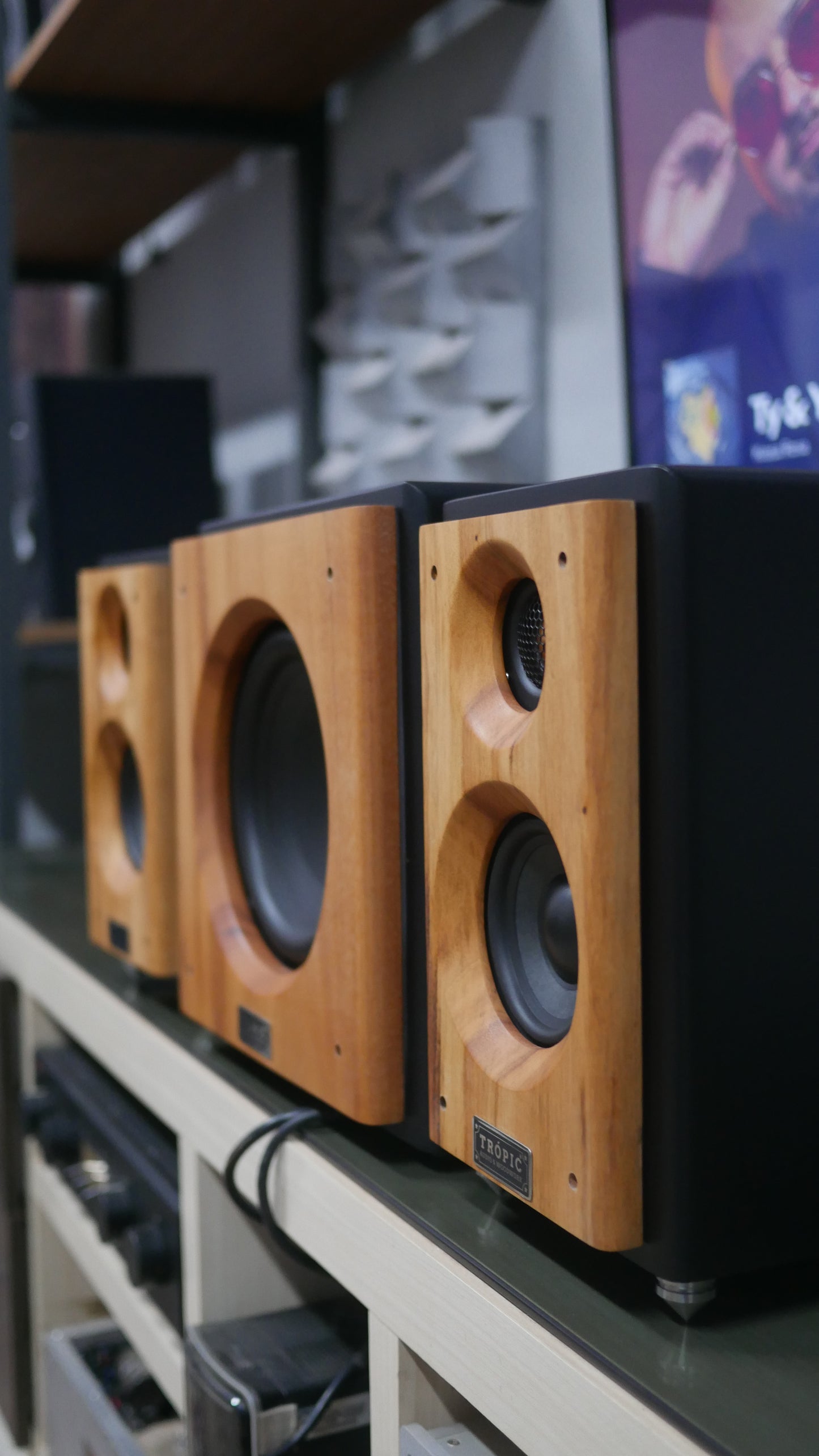 Sistema 2.1 Bookshelf TA-50 Studio+Subwoofer 8"