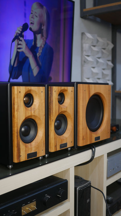 Sistema 2.1 Bookshelf TA-50 Studio+Subwoofer 8"