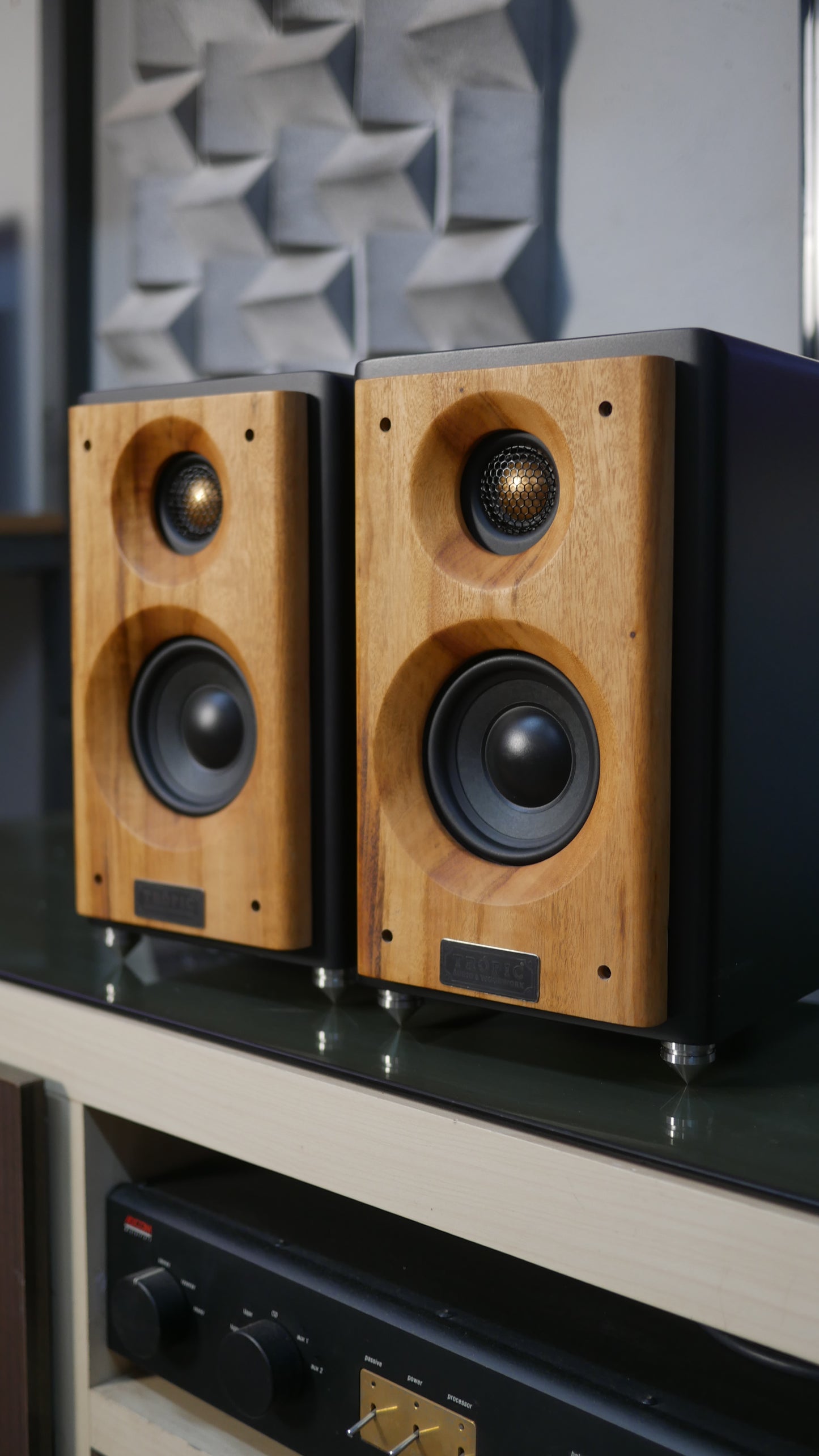 Bookshelf TA-50 Studio In Colors - Hi-Fi (PAR)