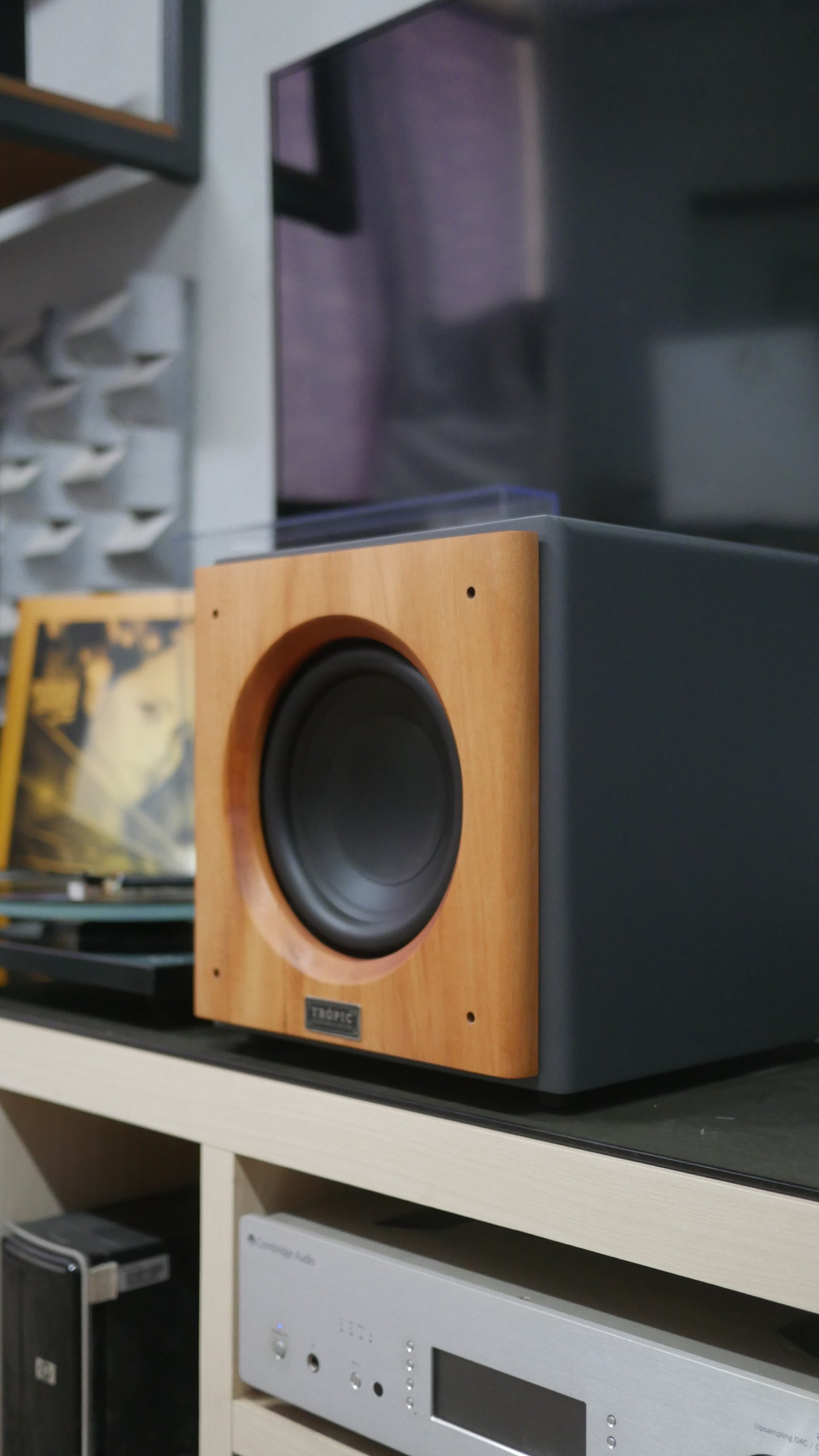 Subwoofer TA-SUB 8" Ativo