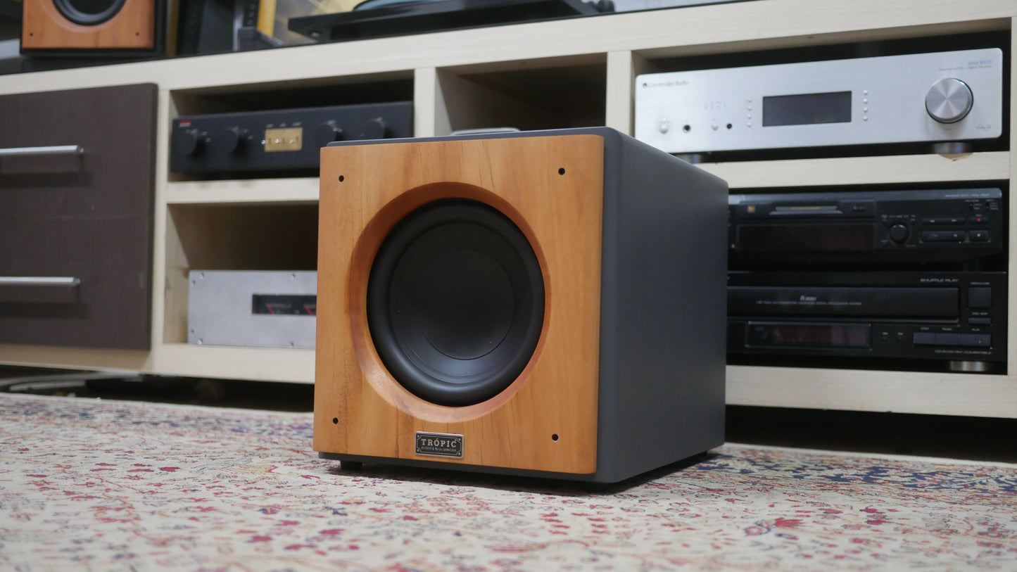 Subwoofer TA-SUB 8" Ativo