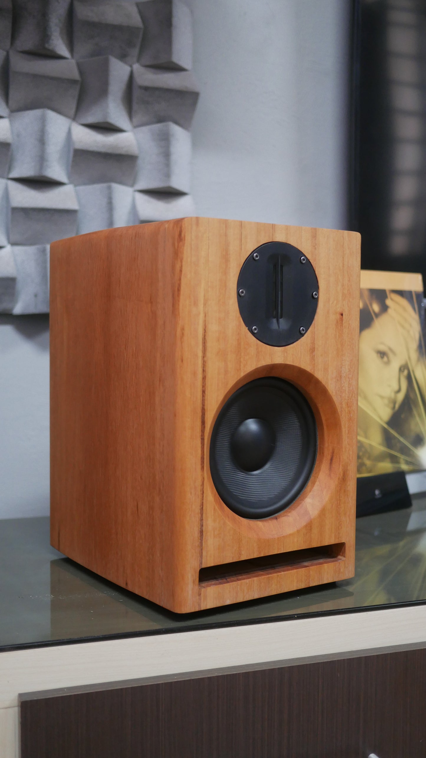 Bookshelf TA-Acara Discos In Muiracatiara