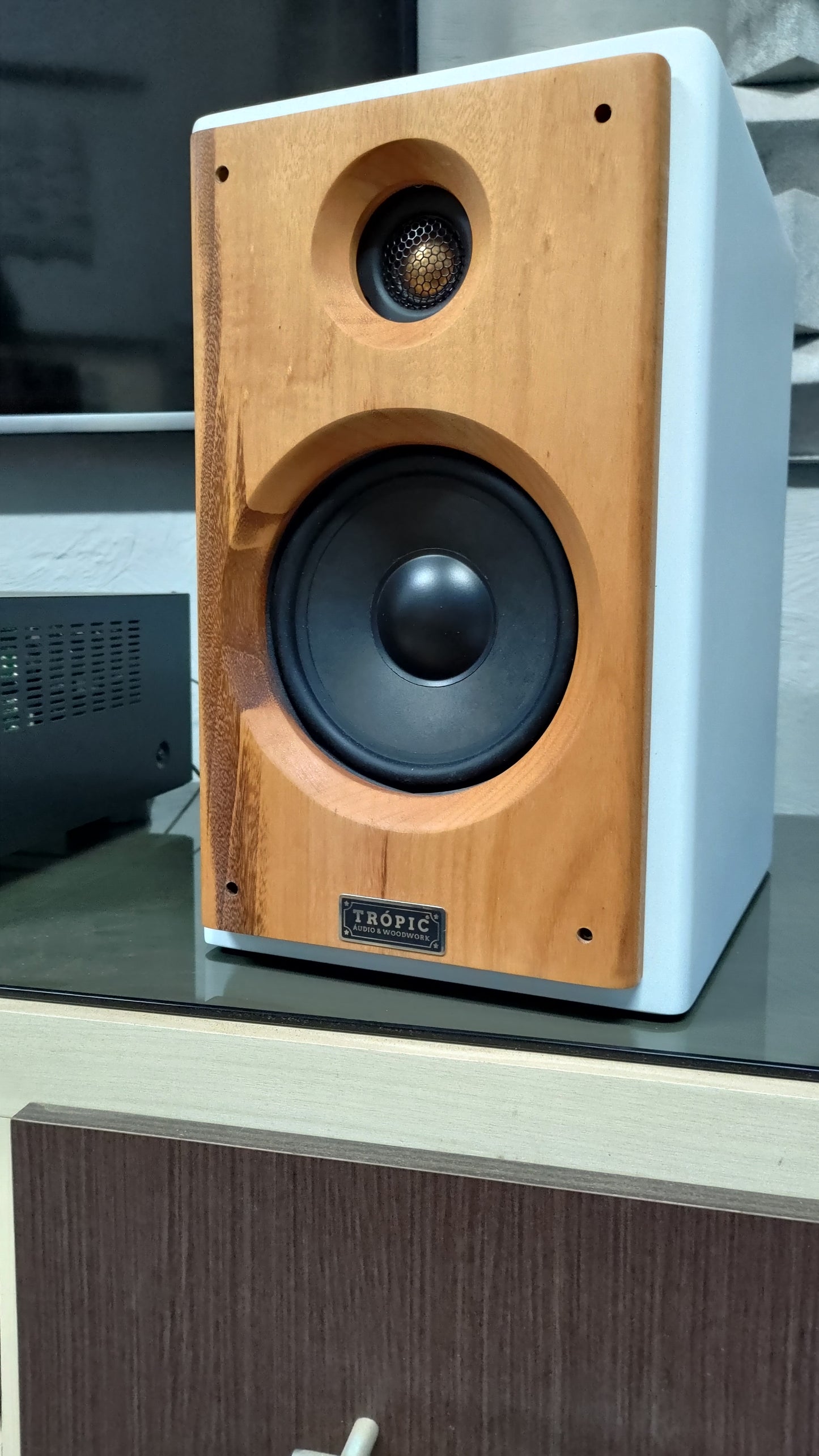 Bookshelf TA-120 Studio In Colors - Hi-Fi (PAR)